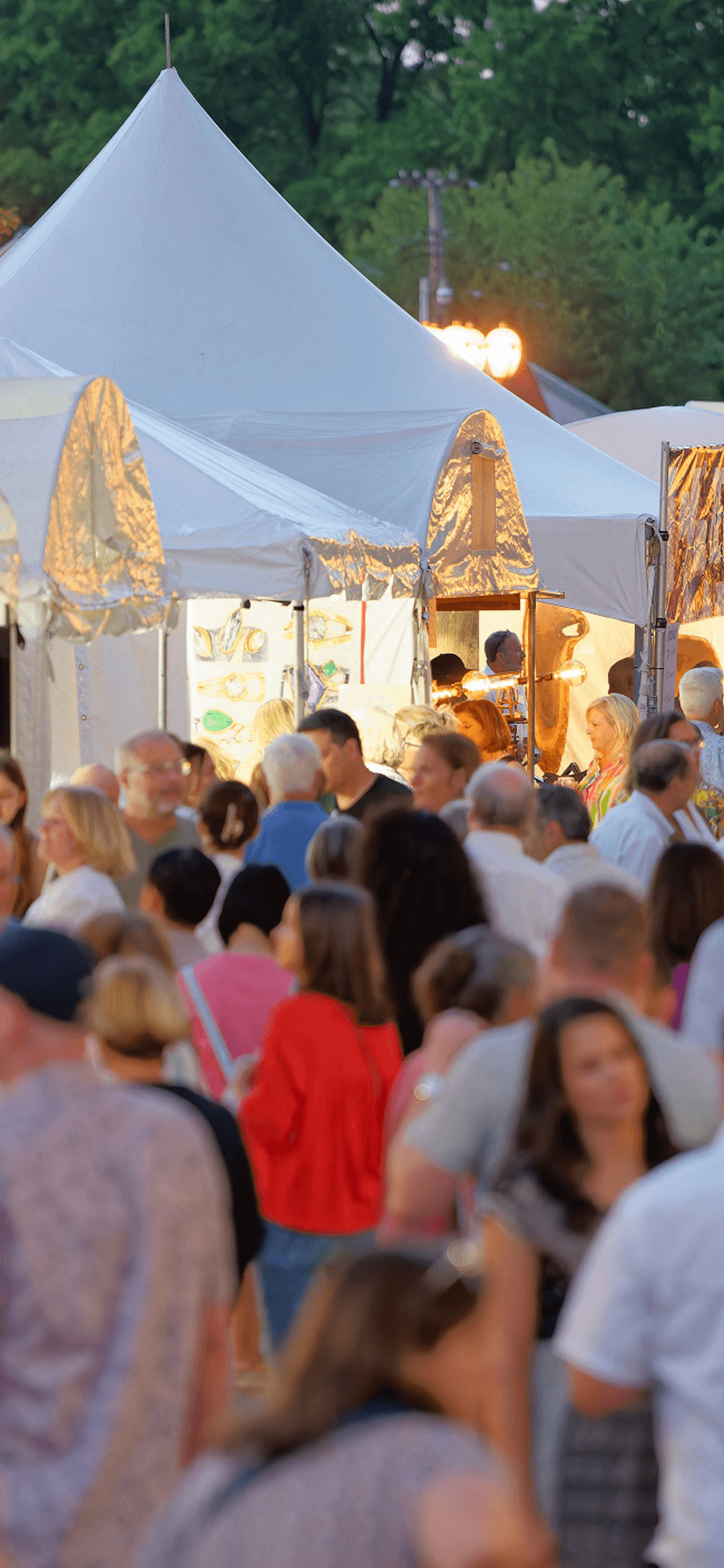  See you in 2024 for the 31st Saint Louis Art Fair!  